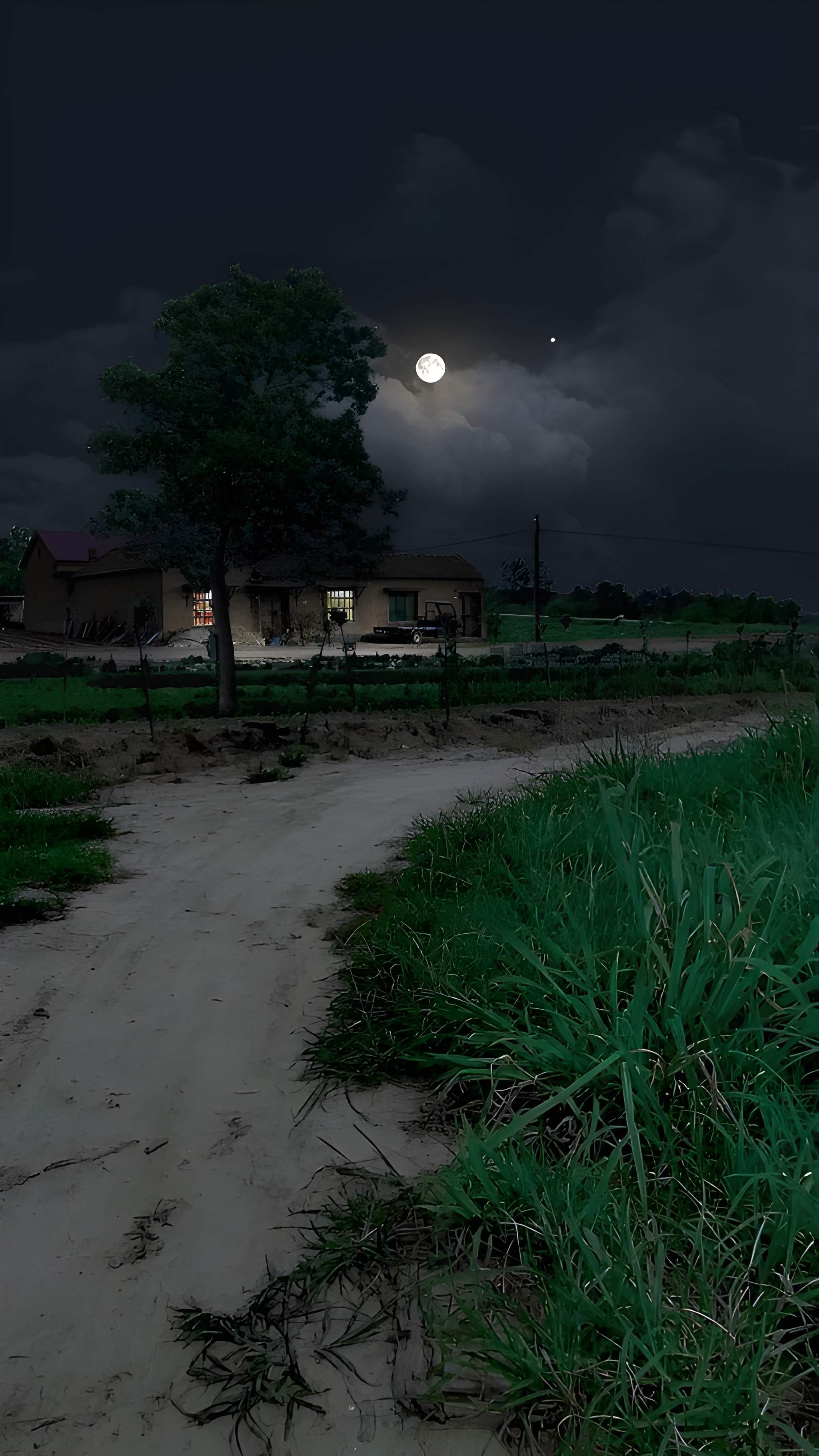 Peaceful ambient scene